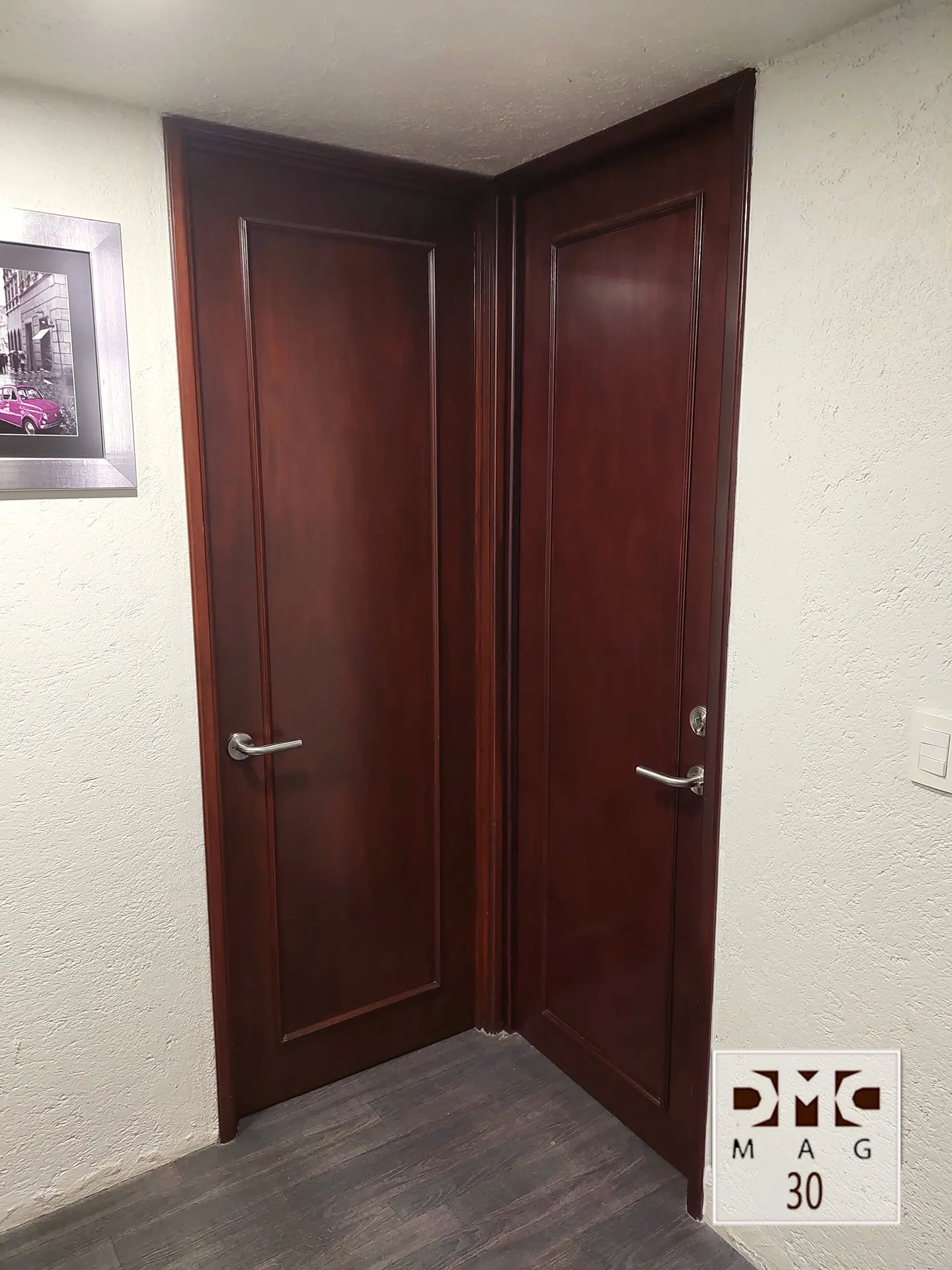 Puerta seguridad entrada