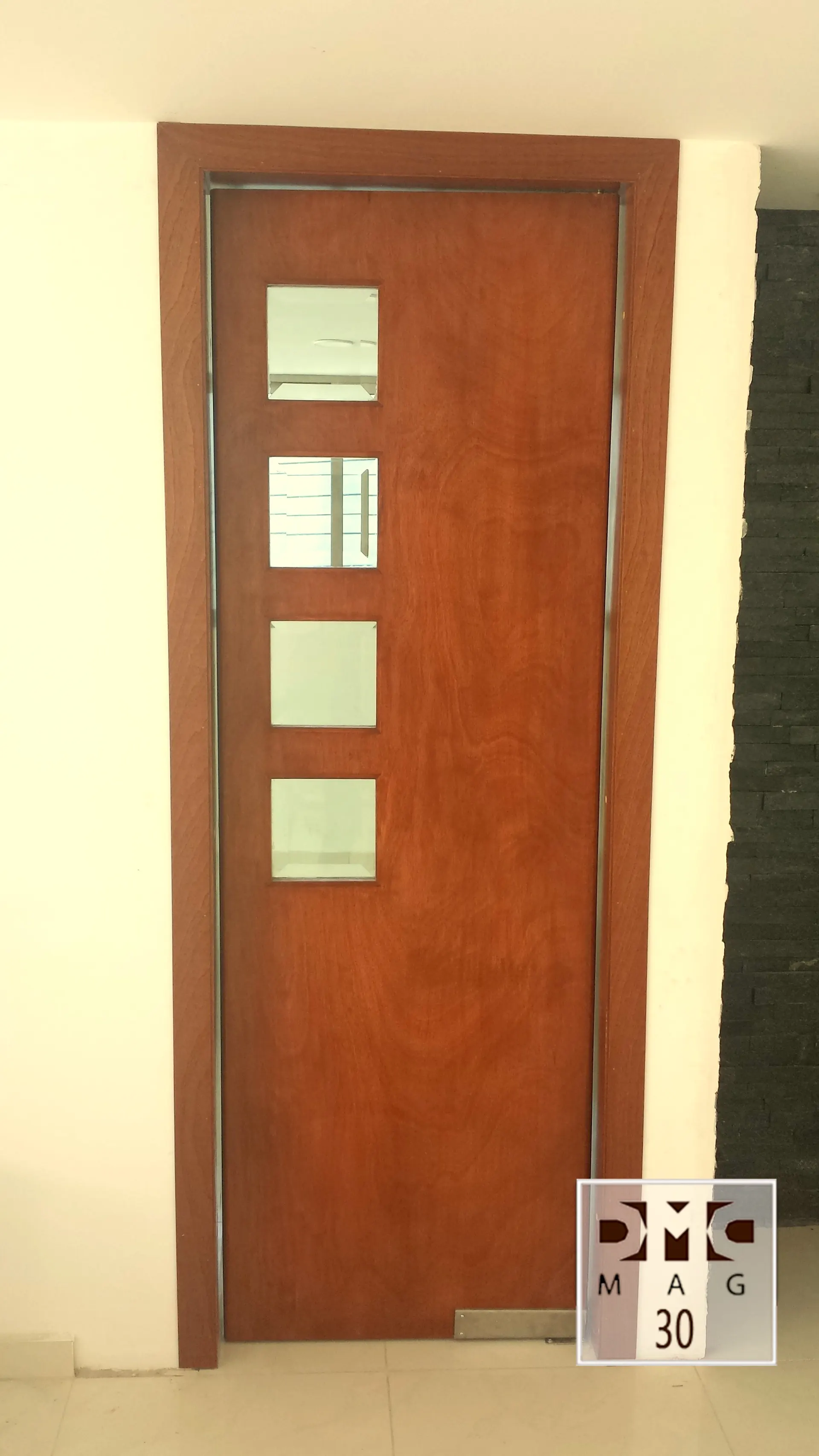 Puerta seguridad entrada